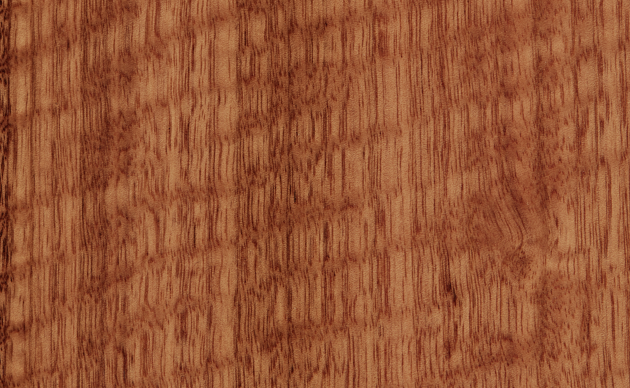 Ash Fiddle Back—Light Brown to pink with rippling feature throughout the timber. 